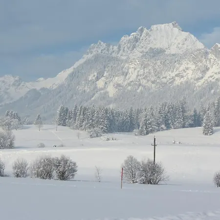 公寓 菲林弗洛里安公寓 *